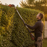 perche taille haies electrique jardinier haie