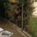 Mesure de la hauteur haie de plus de 30 ans, preuves et distance